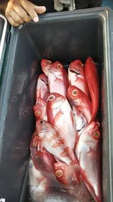 2018年9月16日の釣果・お知らせの写真 7