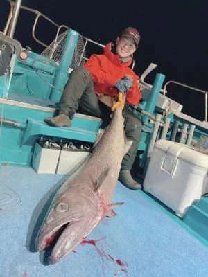 2024年1月6日の釣果・お知らせの写真 1