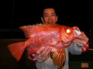 2010年10月18日の釣果・お知らせの写真 4