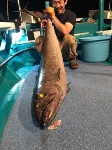 2017年5月30日の釣果・お知らせの写真 6