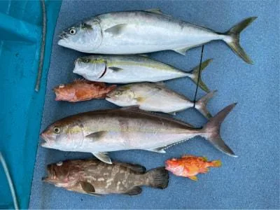 2021年9月27日の釣果・お知らせの写真 4