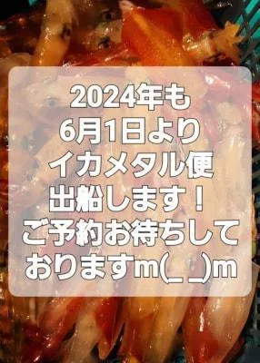 2024年5月13日の釣果・お知らせの写真 2