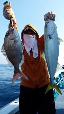 2018年7月15日の釣果・お知らせの写真