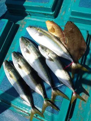 2022年4月10日の釣果・お知らせの写真 10