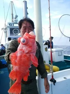 2017年7月12日の釣果・お知らせの写真 5