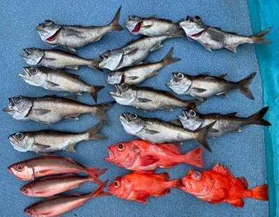 2021年10月21日の釣果・お知らせの写真 6