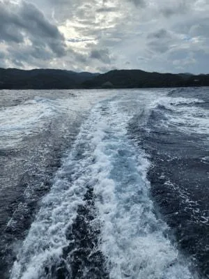 2026年4月16日の釣果・お知らせの写真 2