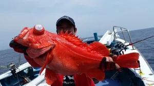 2017年4月16日の釣果・お知らせの写真 1