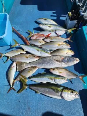 2023年10月28日の釣果・お知らせの写真 5