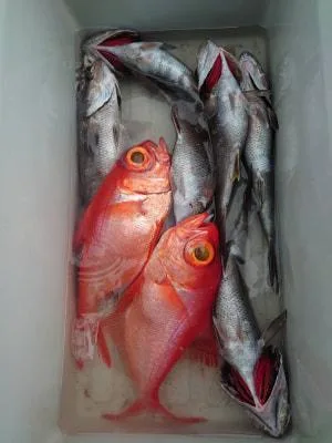 2021年8月20日の釣果・お知らせの写真 3