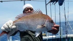2017年7月2日の釣果・お知らせの写真 2
