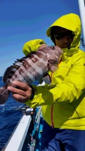 2016年3月26日の釣果・お知らせの写真 2