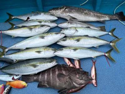 2023年6月18日の釣果・お知らせの写真 8