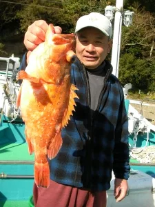 2012年1月29日の釣果・お知らせの写真 2