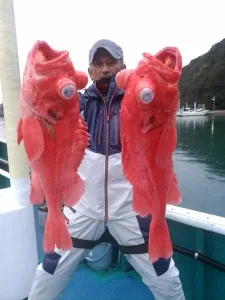 2017年1月29日の釣果・お知らせの写真 5