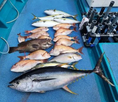 2023年9月20日の釣果・お知らせの写真 5