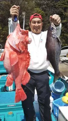 2018年3月29日の釣果・お知らせの写真
