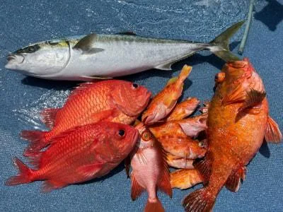 2022年4月19日の釣果・お知らせの写真 5