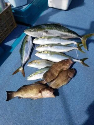 2020年10月20日の釣果・お知らせの写真 6