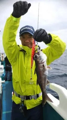 2019年4月28日の釣果・お知らせの写真
