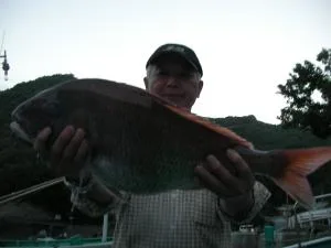 2009年5月30日の釣果・お知らせの写真 2