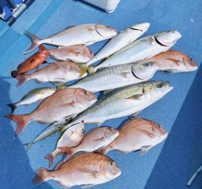 2023年9月23日の釣果・お知らせの写真 10