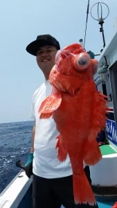 2017年5月11日の釣果・お知らせの写真 3