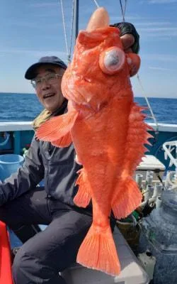 2019年5月12日の釣果・お知らせの写真 2