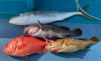 2023年1月2日の釣果・お知らせの写真 7