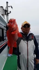 2017年4月20日の釣果・お知らせの写真 2