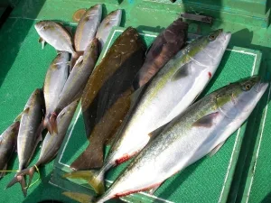 2010年3月11日の釣果・お知らせの写真 6