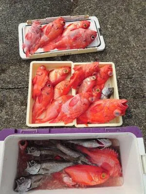 2023年9月9日の釣果・お知らせの写真 8