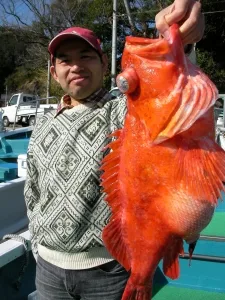 2012年1月29日の釣果・お知らせの写真