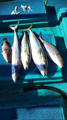 2019年1月13日の釣果・お知らせの写真 3