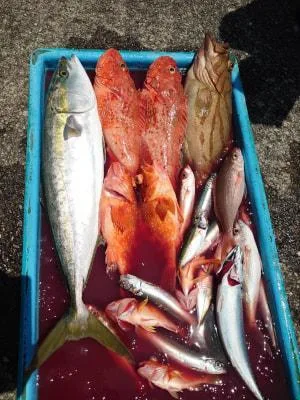 2024年7月28日の釣果・お知らせの写真 5