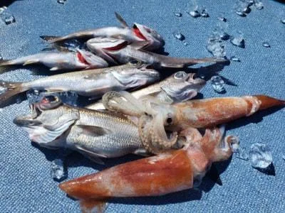 2022年2月28日の釣果・お知らせの写真 4