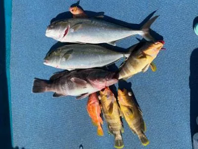 2023年1月21日の釣果・お知らせの写真 2