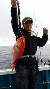 2017年7月7日の釣果・お知らせの写真