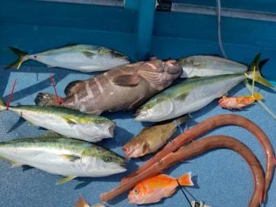 2022年10月22日の釣果・お知らせの写真 3