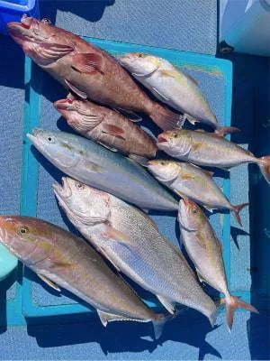 2026年2月17日の釣果・お知らせの写真 4