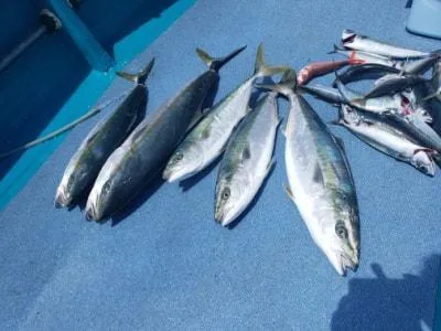 2021年4月23日の釣果・お知らせの写真 2