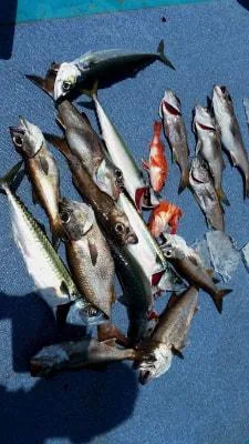 2018年5月5日の釣果・お知らせの写真 1