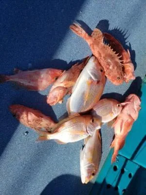 2022年12月30日の釣果・お知らせの写真 5