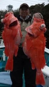 2012年3月16日の釣果・お知らせの写真