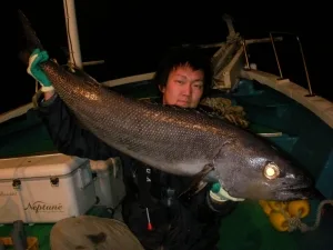 2011年11月28日の釣果・お知らせの写真 2