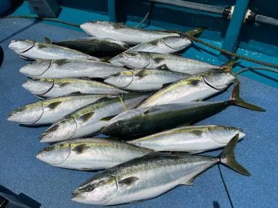 2022年5月29日の釣果・お知らせの写真 5