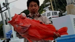 2016年4月10日の釣果・お知らせの写真 2