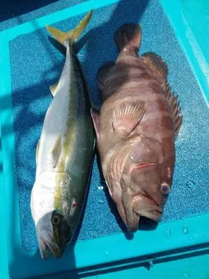 2023年4月22日の釣果・お知らせの写真 2