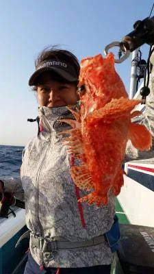 2018年3月31日の釣果・お知らせの写真