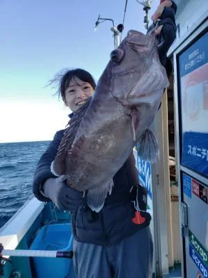 2022年11月28日の釣果・お知らせの写真 3